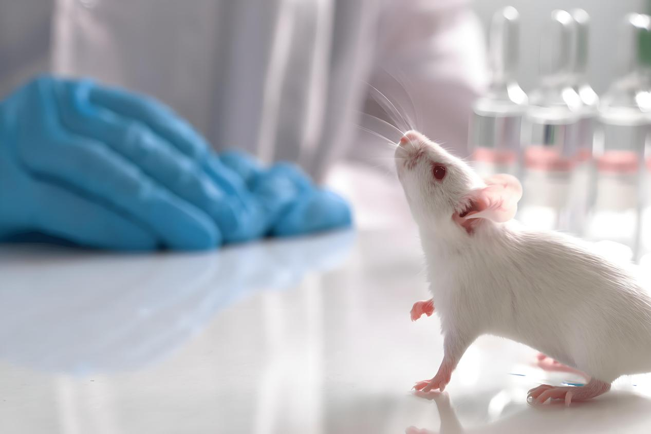Yuyan's self-developed euthanasia system | Promoting the humane and technological euthanasia of experimental animals
