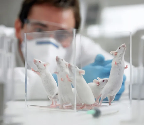 From electrocardiogram and myoelectricity to blood pressure and pulse: Exploring the methods of collecting physiological signals in mice and rats!