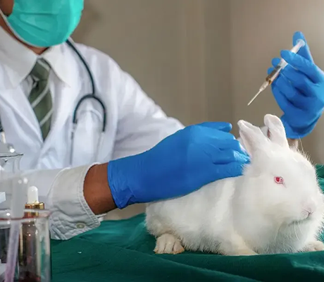 In addition to intraperitoneal injection, there are so many ways to administer drugs to mice!A complete analysis of drug administration methods for experimental animals