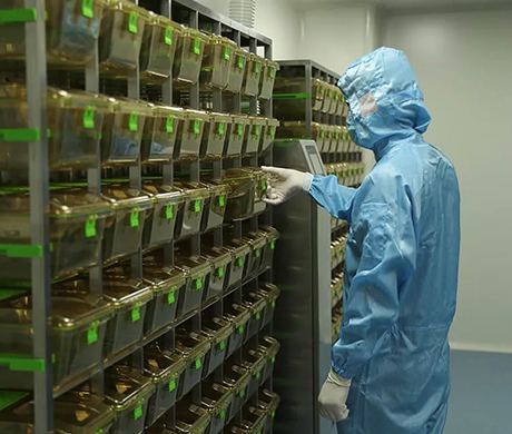 Yuyan Instruments' new IVC cage - innovative design sets a new benchmark for laboratory animal husbandry