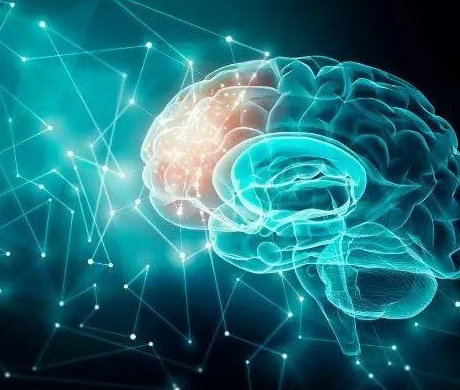 Want to know how neuroscience is studied?Review of cutting-edge technologies and methods such as stereotaxic devices