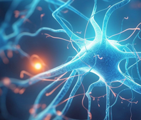 One-stop neurophysiological research - Yuyan Instrument EEG and EMG acquisition system integration solution