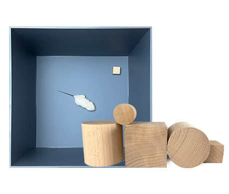 Experimental Tips | New Object Recognition Experiment: Unraveling the Secrets of Cognition and Memory