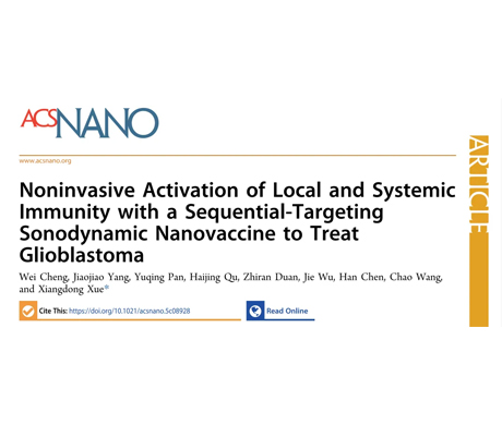 From model construction to efficacy verification: Stereotactic brain positioning system supports sequential targeted sonodynamic nanovaccination to solve the problem of GBM treatment