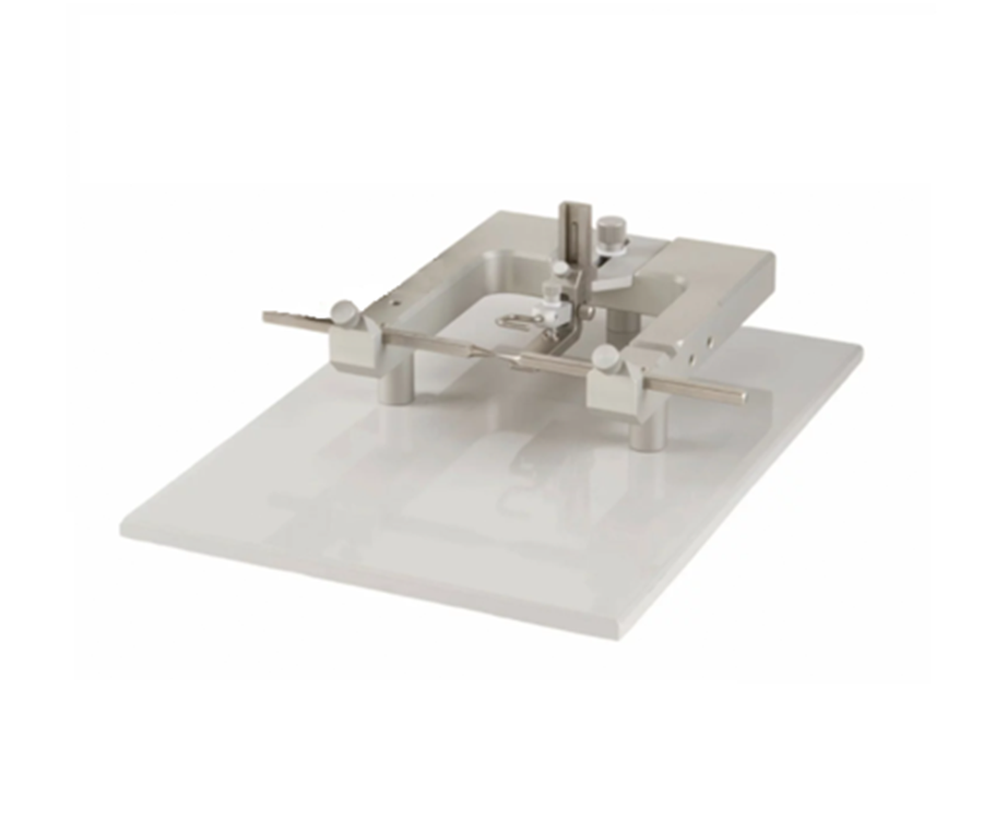 Rat and Mouse Head Holder