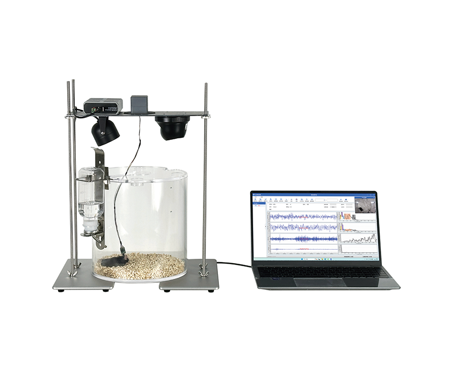 EEG/EMG acquisition and analysis system